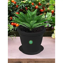 TRUSTBASKET 12 Pcs Black Brand Logo Detailing Planter Saucers-picture-17