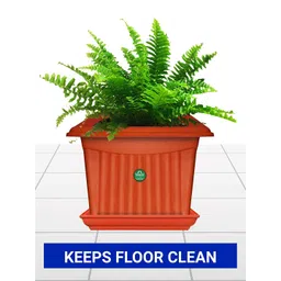 TRUSTBASKET  12 Pcs Brown Brand Logo Detailing Planter Saucers-picture-23