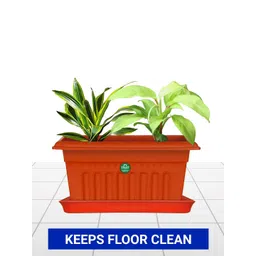 TRUSTBASKET 12-Pcs Brown Square Saucers Planters-picture-35