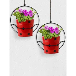 TRUSTBASKET 2 Pcs Black Round-Shaped Wall Mounted Planter Stands-picture-27