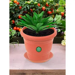 TRUSTBASKET  3 Pcs Brown Brand Logo Detailing Planter Saucers-picture-14