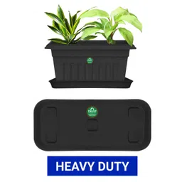 TRUSTBASKET 6 Pcs Black Brand Logo Detailing Rectangular Planter Saucers-picture-14