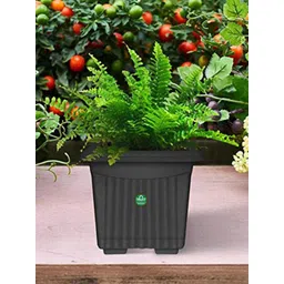 TrustBasket 6-Pcs Black Textured UV Treated Square Planters-picture-26