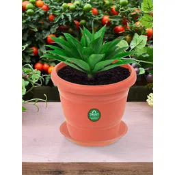 TRUSTBASKET 6 Pcs Brown Brand Logo Detailing Planter Saucers-picture-30