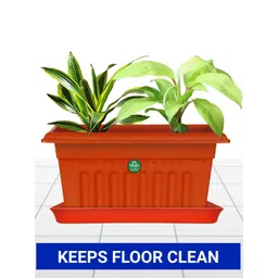 TRUSTBASKET 6-Pcs Brown Square Saucers Planters-picture-27