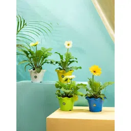 TRUSTBASKET Blue & Yellow 4 Pieces Blossom Planters-picture-36