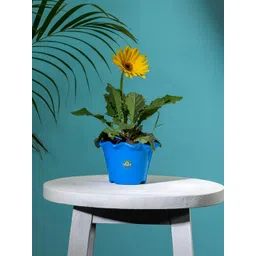 TRUSTBASKET Blue Fade Resistant Blossom Planter-picture-34