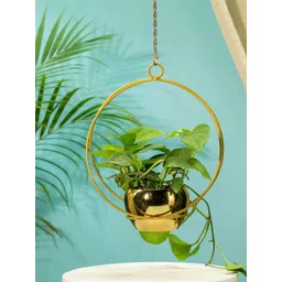TRUSTBASKET Gold Toned Lunar Eclipse Metal Hanging Planter-picture-14