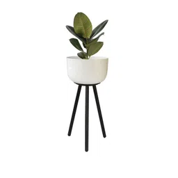 TRUSTBASKET Green & White Planter With Stand-picture-32