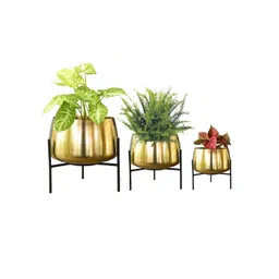 TRUSTBASKET Indus Set Of 3 Gold-Toned Planters With Stand-picture-13