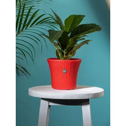 TRUSTBASKET Red Textured Fade Resistant Helix Planter-picture-17