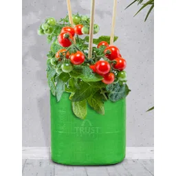 TRUSTBASKET Set Of 10 Green Round Grow Bags-picture-15