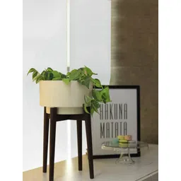 TRUSTBASKET White & Brown Costa Mid Planter With Wooden Stand-picture-26