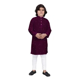 trustous Boys Embroidered Regular Sequinned Kurta with Pyjamas-picture-27