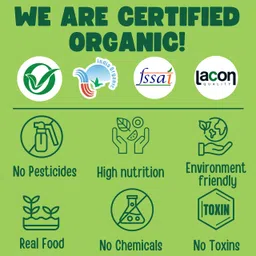 tummyfriendly foods Certified USDA Organic Sprouted Ragi Porridge Mix | Made of Organic Sprouted Ragi for Baby| Rich in Calcium, Iron, Fibre & Micro-Nutrients | 200g Cereal image 3