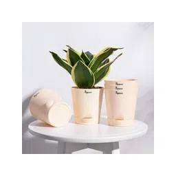 UGAOO Beige 5 Pieces Self Watering Planters-picture-25
