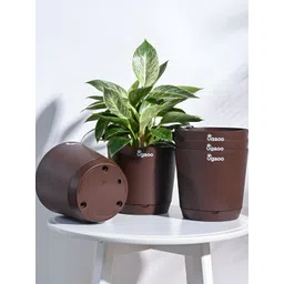 UGAOO Brown 5 Pieces Self Watering Planters-picture-31