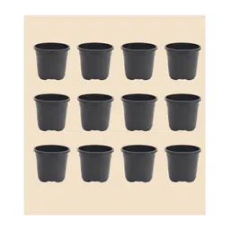 Ugaoo Garden Plastic Pots for Indoor Plants (12 inch, Set of 12)-picture-15