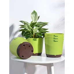 UGAOO Krish 5-pcs Green Self-Watering Planters-picture-15