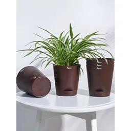 UGAOO Krish Brown 5-pcs Self-Watering Planters-picture-24