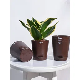 UGAOO Krish Brown 5-pcs Self-Watering Planters-picture-13