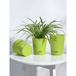 UGAOO Krish Green 5-pcs Self-Watering Planters-picture-12