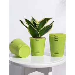 UGAOO Krish Green 5-pcs Self-Watering Planters-picture-22