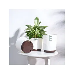 UGAOO Krish White & Brown 5-pcs Self-Watering Planters-picture-22