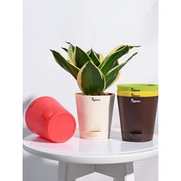 UGAOO Red & Green 5 Pieces Self Watering Planters-picture-40