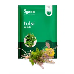 UGAOO Tulsi Seeds-picture-34