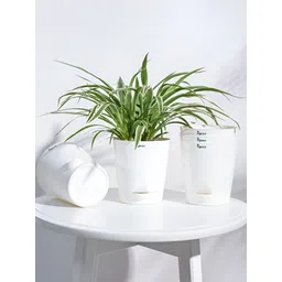 UGAOO White 5 Pieces Self Watering Planters-picture-19