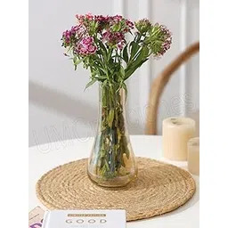 UM Creaciones Papaya Amber Glass Tapered Vase Set Suitable for Home Décor,Flower Arrangements,Centerpieces,Gifts(Size-8 Inch)(Pack of 1)-picture-26