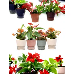 UMAI Grey & Pink 4 Pieces Self Watering Planters-picture-37