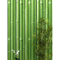 Univocean Green 3D Bamboo Pattern Peel & Stick Waterproof Wallpaper-picture-13