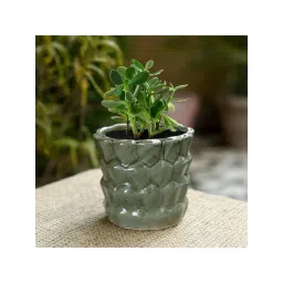 Unravel India Grey & Pink Ceramic Glazed Table Top Planter - Set of 1-picture-35