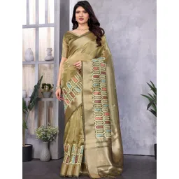 Urban Pallu Ethnic Motifs Embroidered Saree-picture-10