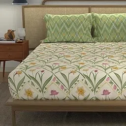 Urban Space Divine 100% Cotton Bedsheet for Double Bed with 2 Pillow Covers, Double Bedsheet (Size 90 x 100 inches, Spring Sage Green)-picture-30