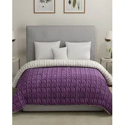 urban space Premium Quilted Microfiber Comforter-picture-19