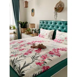 URBAN SPACE Serene Off White & Pink 200 TC Fitted Cotton King Bedsheet & 2 Pillow Covers-picture-26