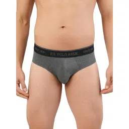 U.S. Polo Assn. Dark Grey Regular Fit Briefs-picture-23