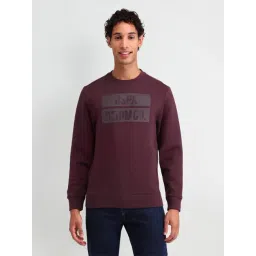 U.S. Polo Assn. Denim Co. Purple Cotton Regular Fit Logo Printed Sweatshirt-picture-29