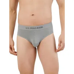 U.S. Polo Assn. Grey Regular fit Briefs-picture-38