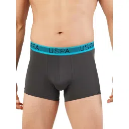U.S. Polo Assn. Grey Regular fit Trunks-picture-44