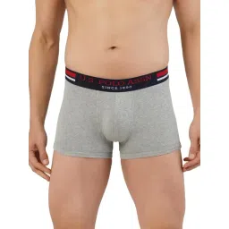 U.S. Polo Assn. Grey Regular fit Trunks-picture-42