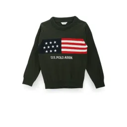 U.S. Polo Assn. Kids Green Self Design Full Sleeves Sweater-picture-14