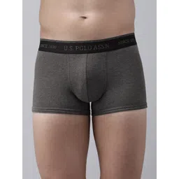 U.S. Polo Assn. Men Charcoal Grey Solid Bamboo Cotton Trunk I705-031-PL-picture-20