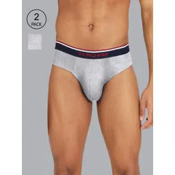 U.S. Polo Assn. Men Pack Of 2 Grey Melange Solid Pure Cotton Basic Briefs-picture-18