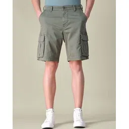 u.s. polo assn. Men Regular Fit Cargo Shorts-picture-24
