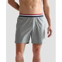 u.s. polo assn. Men Regular Fit Shorts-picture-29