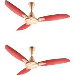 Bloom Primrose, Sparkle Golden, Cherry with 2 Year Warranty Ultra High Speed 1250 mm Ceiling Fan-image-45
